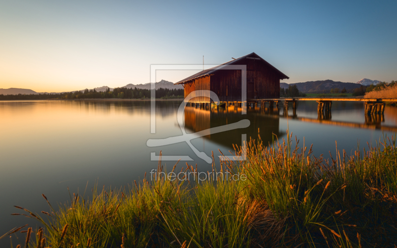 frei wählbarer Bildausschnitt für Ihr Bild auf Papier