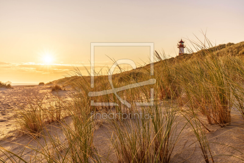 frei wählbarer Bildausschnitt für Ihr Bild auf Papier