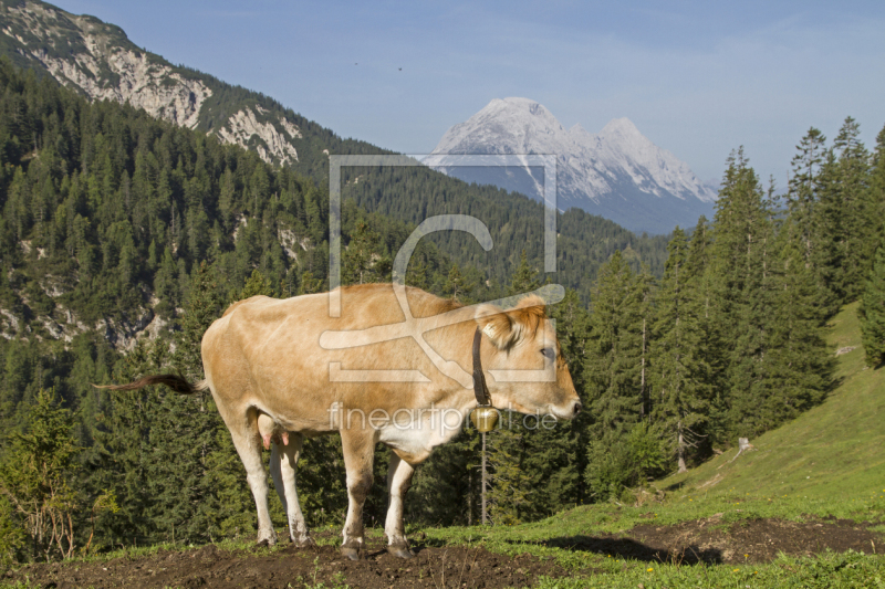 frei wählbarer Bildausschnitt für Ihr Bild auf Papier