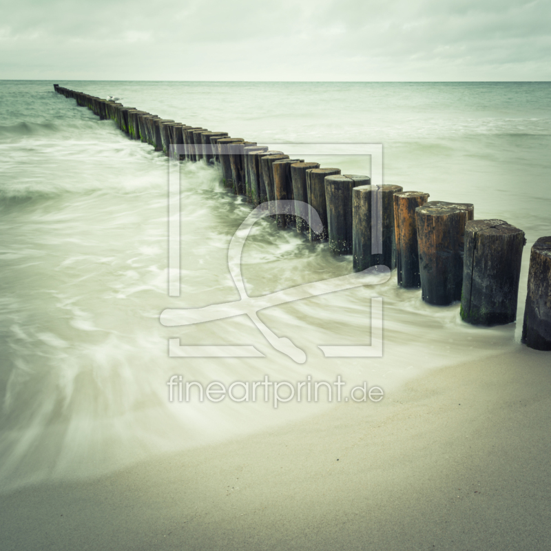 frei wählbarer Bildausschnitt für Ihr Bild auf Papier