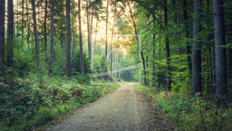 frei wählbarer Bildausschnitt für Ihr Bild auf Papier