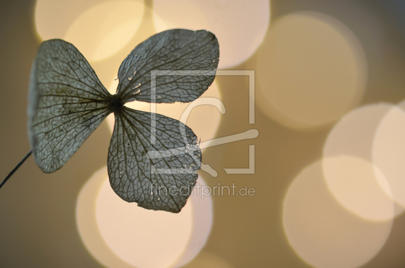 frei wählbarer Bildausschnitt für Ihr Bild auf Papier