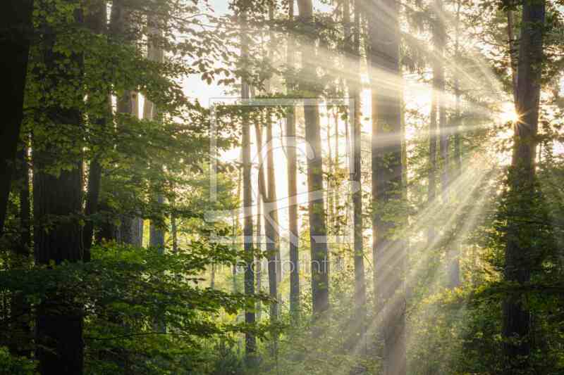 frei wählbarer Bildausschnitt für Ihr Bild auf Papier