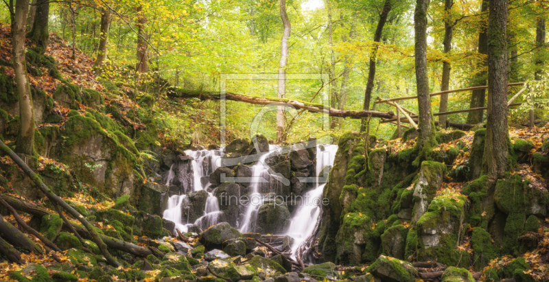 frei wählbarer Bildausschnitt für Ihr Bild auf Papier