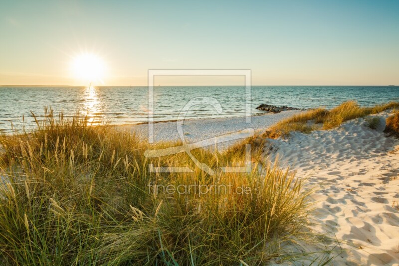 frei wählbarer Bildausschnitt für Ihr Bild auf Papier