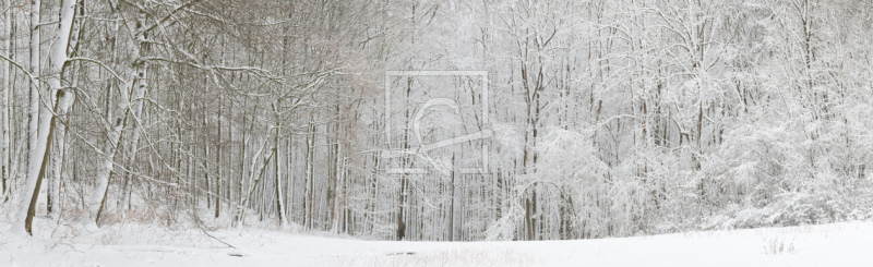frei wählbarer Bildausschnitt für Ihr Bild auf Papier