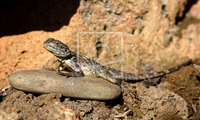 frei wählbarer Bildausschnitt für Ihr Bild auf Papier