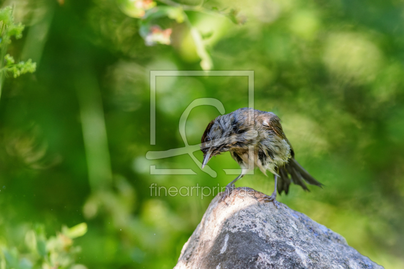 frei wählbarer Bildausschnitt für Ihr Bild auf Papier