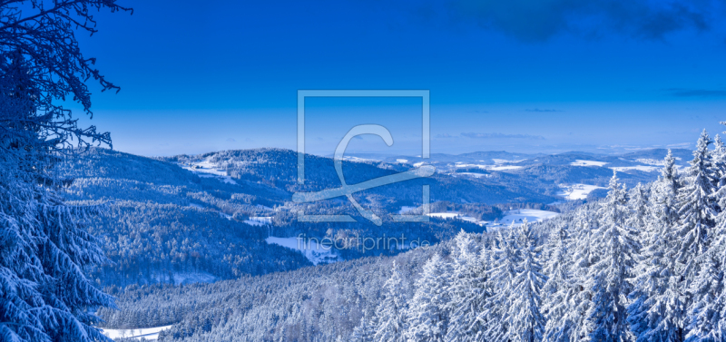 frei wählbarer Bildausschnitt für Ihr Bild auf Papier