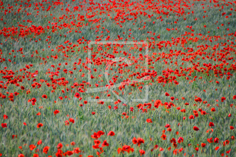 frei wählbarer Bildausschnitt für Ihr Bild auf Papier