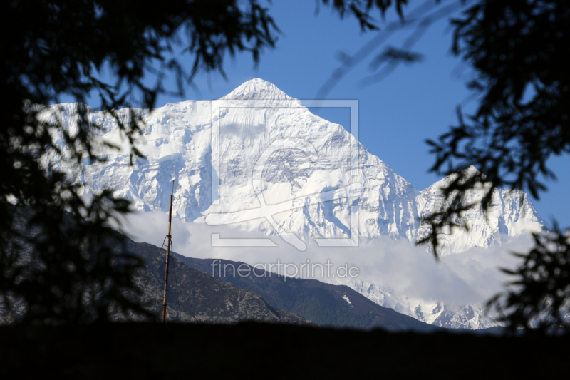 frei wählbarer Bildausschnitt für Ihr Bild auf Papier