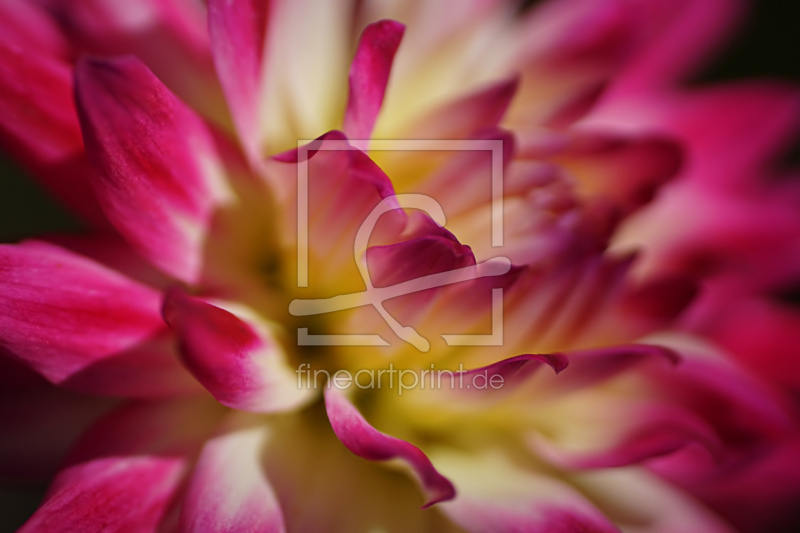 frei wählbarer Bildausschnitt für Ihr Bild auf Papier