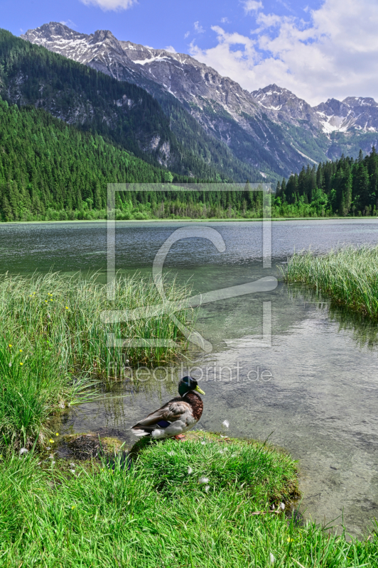 frei wählbarer Bildausschnitt für Ihr Bild auf Papier