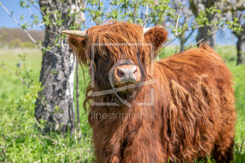 frei wählbarer Bildausschnitt für Ihr Bild auf Papier