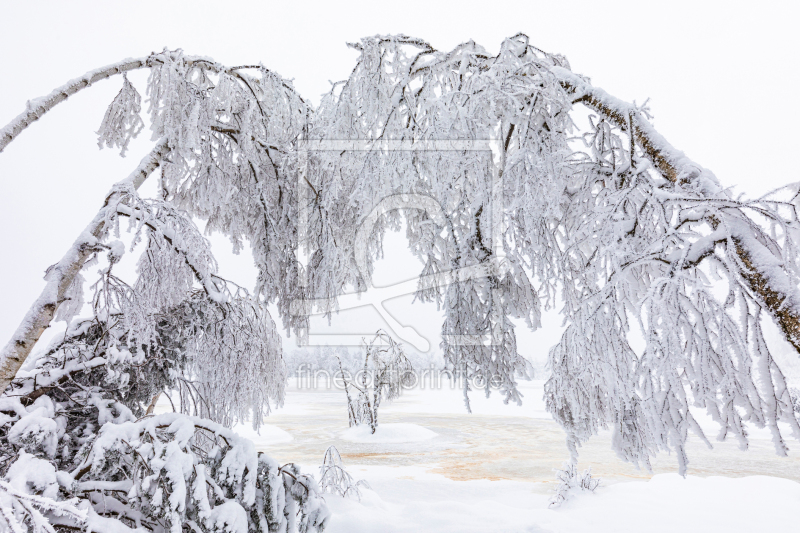 frei wählbarer Bildausschnitt für Ihr Bild auf Papier