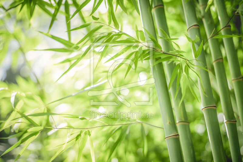 frei wählbarer Bildausschnitt für Ihr Bild auf Papier