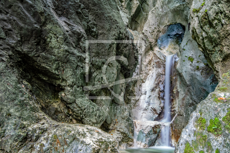 frei wählbarer Bildausschnitt für Ihr Bild auf Papier