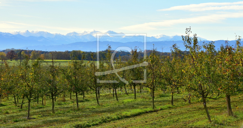 frei wählbarer Bildausschnitt für Ihr Bild auf Papier