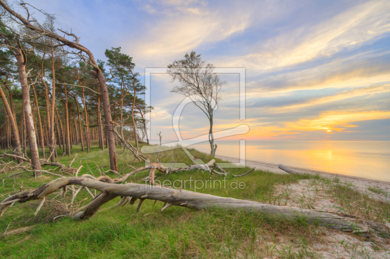 frei wählbarer Bildausschnitt für Ihr Bild auf Papier
