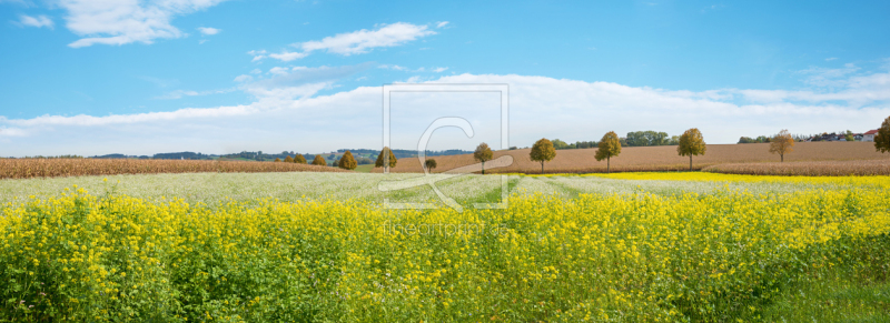 frei wählbarer Bildausschnitt für Ihr Bild auf Papier