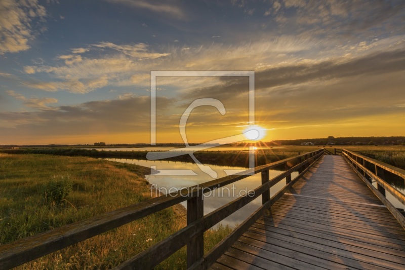 frei wählbarer Bildausschnitt für Ihr Bild auf Papier