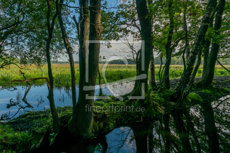 frei wählbarer Bildausschnitt für Ihr Bild auf Papier