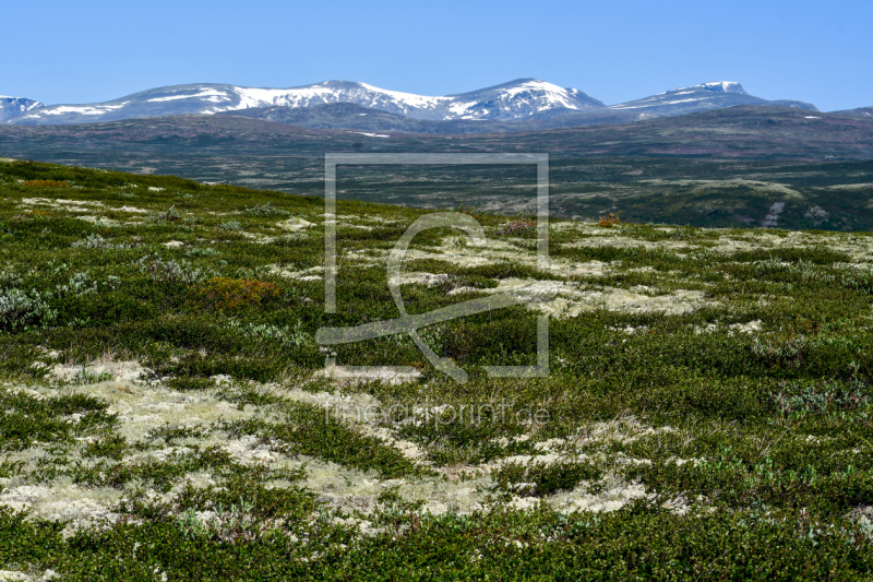 frei wählbarer Bildausschnitt für Ihr Bild auf Papier