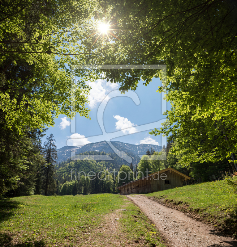 frei wählbarer Bildausschnitt für Ihr Bild auf Papier