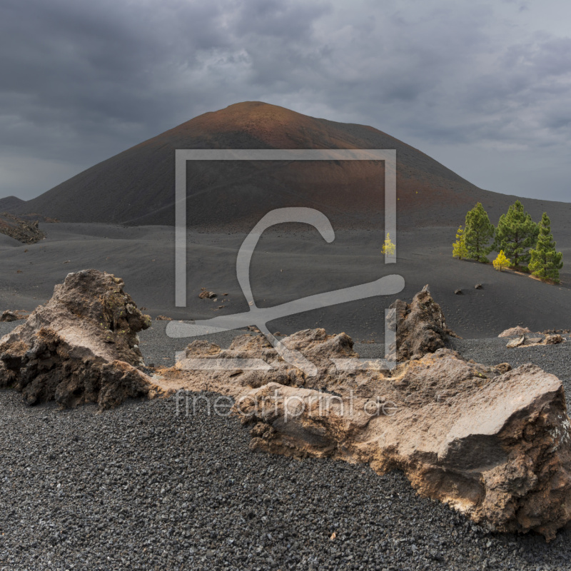 frei wählbarer Bildausschnitt für Ihr Bild auf Papier