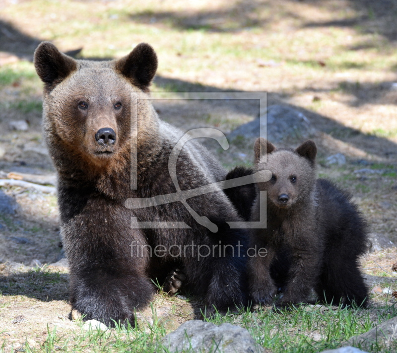 frei wählbarer Bildausschnitt für Ihr Bild auf Papier