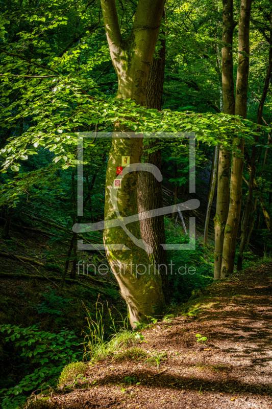frei wählbarer Bildausschnitt für Ihr Bild auf Papier