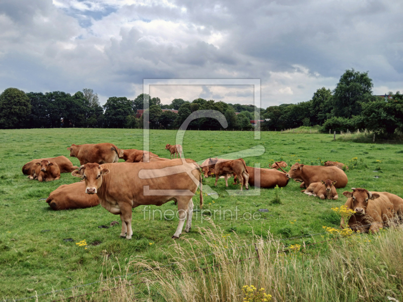 frei wählbarer Bildausschnitt für Ihr Bild auf Papier