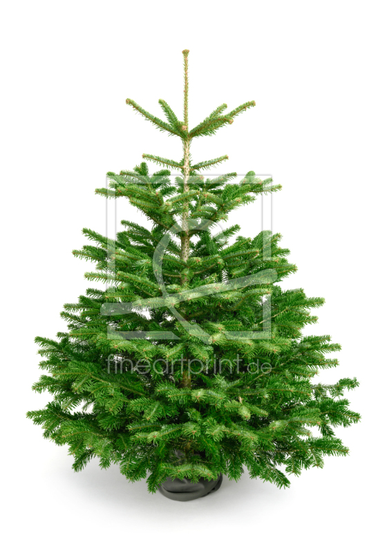 frei wählbarer Bildausschnitt für Ihr Bild auf Papier