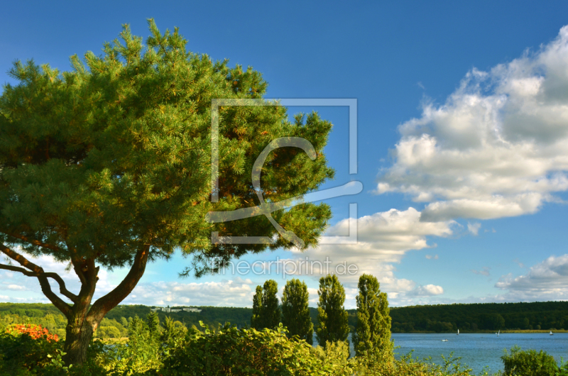 frei wählbarer Bildausschnitt für Ihr Bild auf Papier