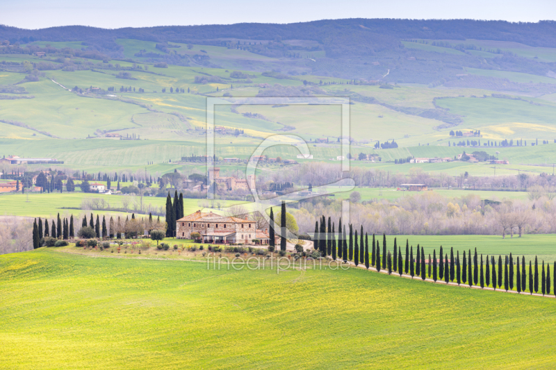 frei wählbarer Bildausschnitt für Ihr Bild auf Papier