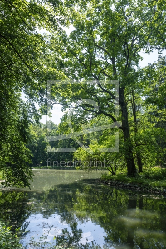 frei wählbarer Bildausschnitt für Ihr Bild auf Papier