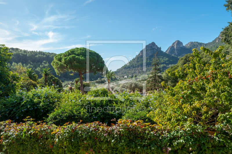 frei wählbarer Bildausschnitt für Ihr Bild auf Papier