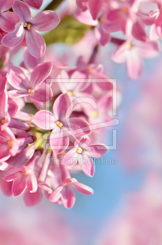 frei wählbarer Bildausschnitt für Ihr Bild auf Papier
