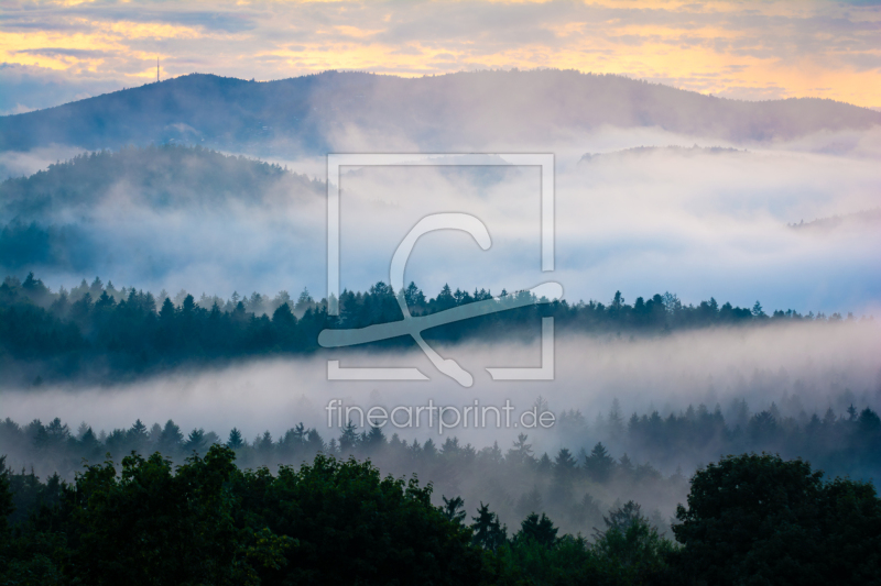 frei wählbarer Bildausschnitt für Ihr Bild auf Papier