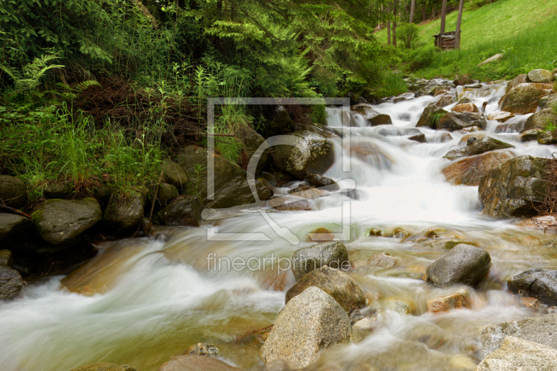 frei wählbarer Bildausschnitt für Ihr Bild auf Papier