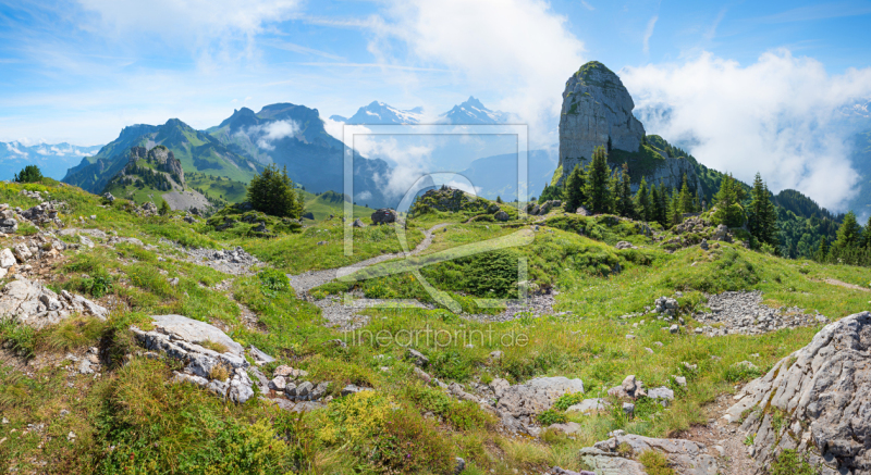 frei wählbarer Bildausschnitt für Ihr Bild auf Papier