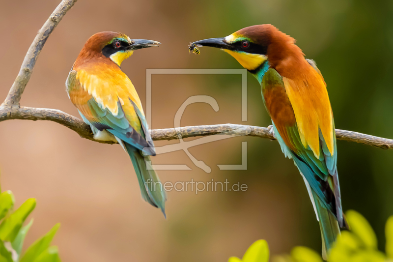 frei wählbarer Bildausschnitt für Ihr Bild auf Papier