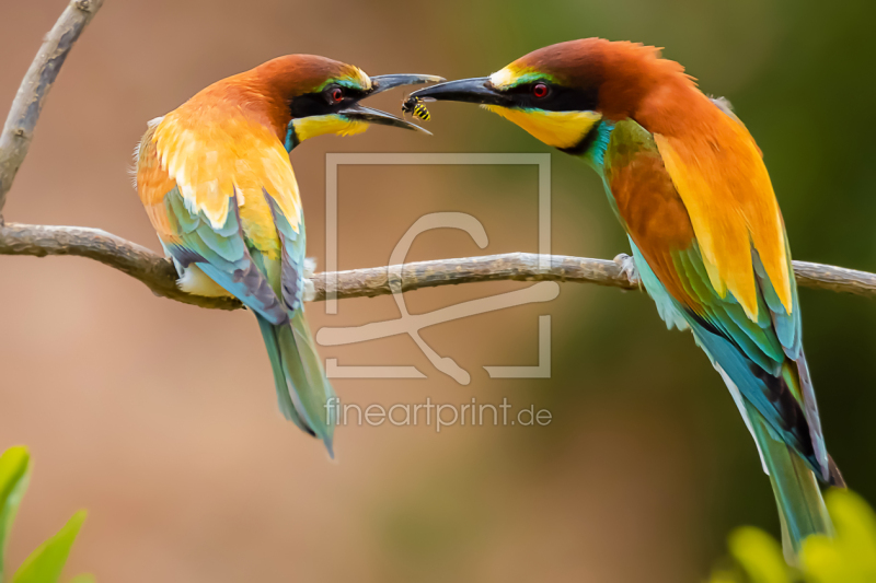 frei wählbarer Bildausschnitt für Ihr Bild auf Papier