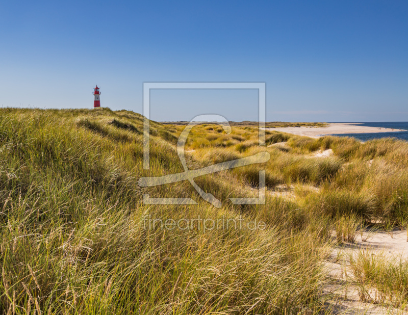 frei wählbarer Bildausschnitt für Ihr Bild auf Papier