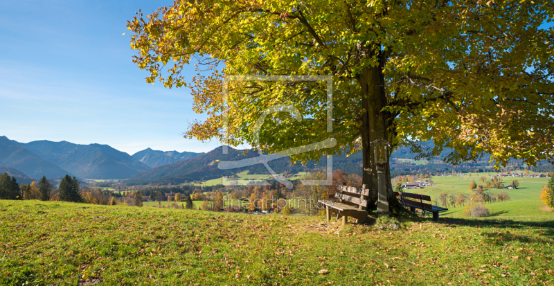 frei wählbarer Bildausschnitt für Ihr Bild auf Papier
