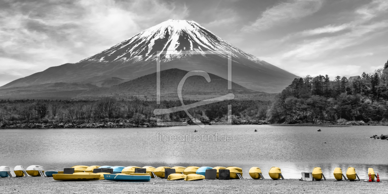 frei wählbarer Bildausschnitt für Ihr Bild auf Papier