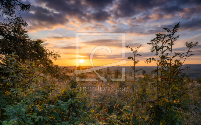 frei wählbarer Bildausschnitt für Ihr Bild auf Papier