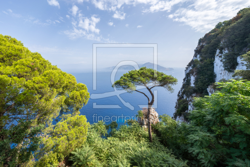 frei wählbarer Bildausschnitt für Ihr Bild auf Papier