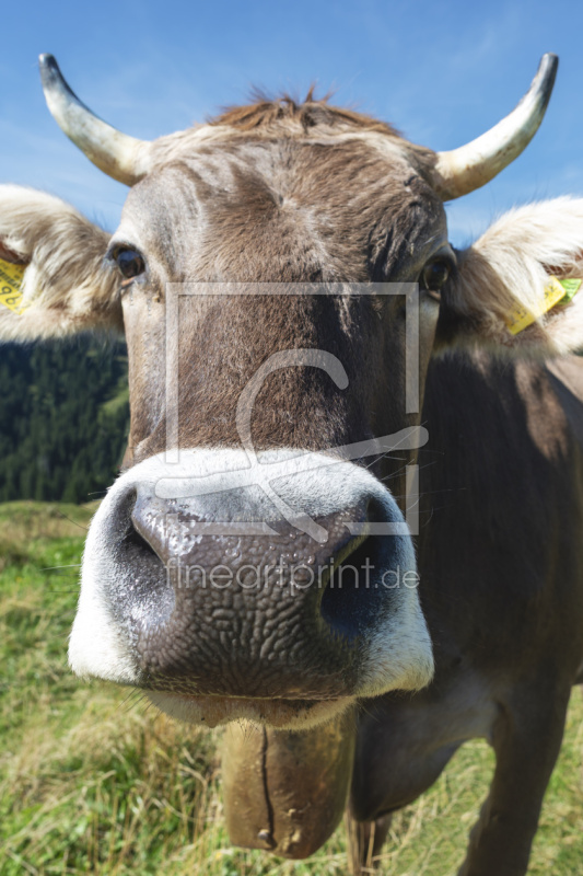 frei wählbarer Bildausschnitt für Ihr Bild auf Papier