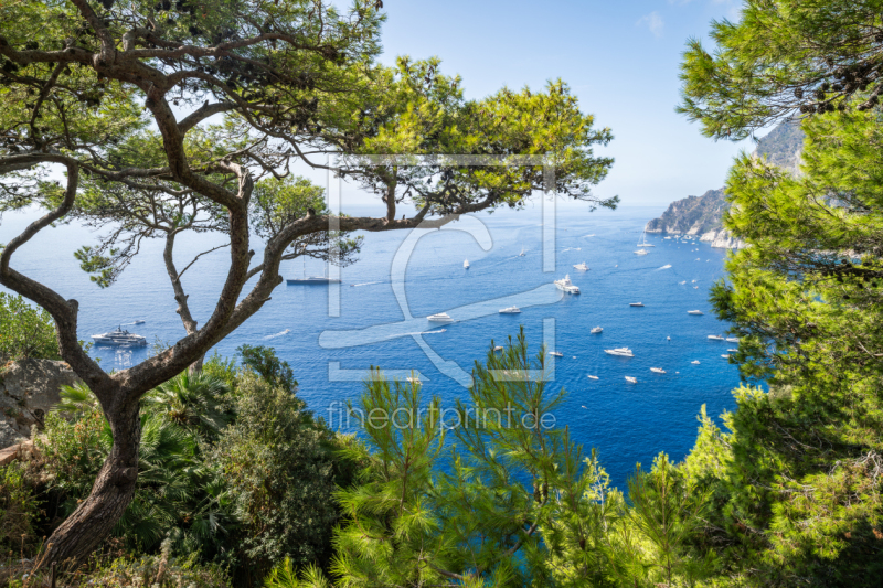 frei wählbarer Bildausschnitt für Ihr Bild auf Papier